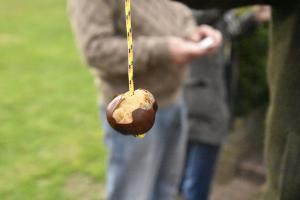 When Peter Carter came up withthe idea of a conker competition, we all laughed; then we realised he was serious!