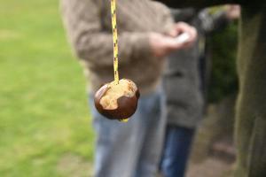 Conkers away!