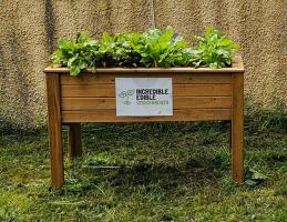 Raised Herb/Vegetable beds ready for cutting. 
