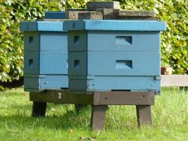 Beehives