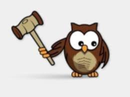 biddingowl
