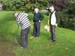 Crocus planting October 2010