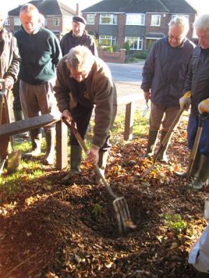 Bulb planting