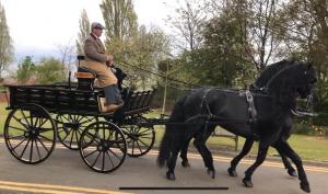 Carriage