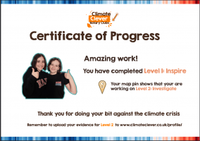 Certificate of progress