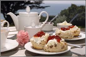 cream tea at Alan and Marjorie's 5th June