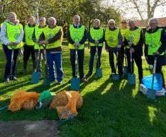 Crocus planting for World Polio Day