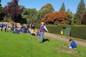 Crocus Planting for Polio