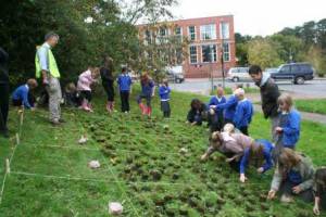 Planting with lots of Help!