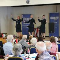 Late summer fundraiser marking 100 years of the RAF.
