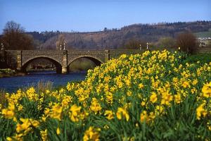 Photos of Peebles