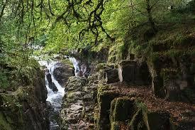 Summer Walk at the Hermitage, Dunkeld