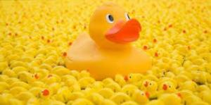 Duck Race, Fling and Crepes Saturday 25 May 2019 11.00 to 17.00