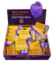 Purple4Polio for End Polio Now