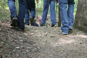 Walkers' feet