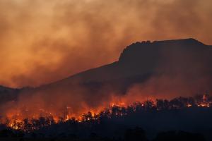 Forest Fires - photo by Matt Palmer on Unsplash