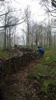 Working Party on the common