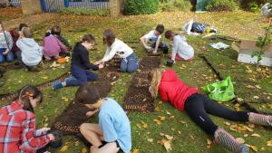 Crocus Planting