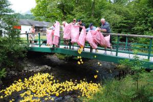 Duck Race 2013