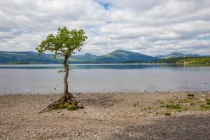 Loch Lomond and the Trossachs Park Authority