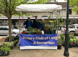 Plant Stall at Langport Market.