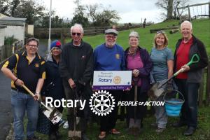 Crocuses for End Polio