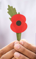 Poppy held in two hands. ©Matt Alexander/RBL