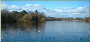 Rotary Ramble - Redesmere Circular