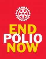WORLD POLIO DAY  ( Collection )