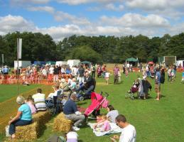 RUSTIC  FAYRE