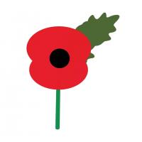 The red poppy in remembrance
