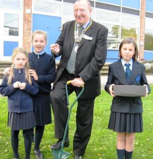 Upminster Primary School Planting Crocus Corms