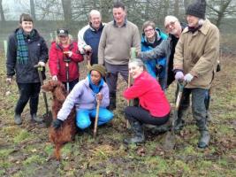 Tree planting