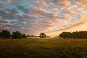 Photo by Simon Wilkes on Unsplash