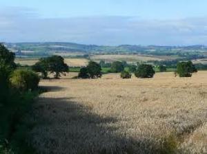 A View of some of the Beautiful South Herefordshire Countryside