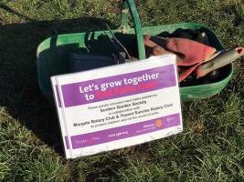 Crocus planting at the Sunken Garden, Westgate