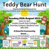 Teddy Bear Hunt Aug