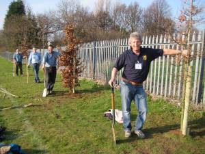 Tree planting