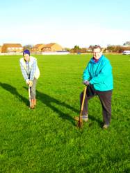 Tree planting