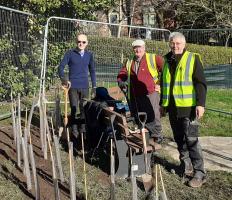 More trees for the area