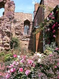 Part of the garden at Wilton Castle