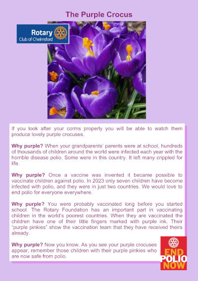 A leaflet explaining the significance of the purple crocus