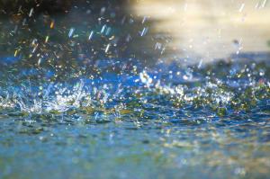 Rain falling on water