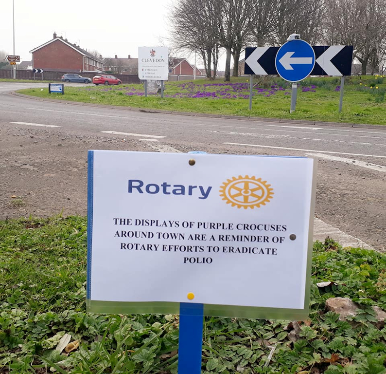  Rotary Clevedon Yeo activities