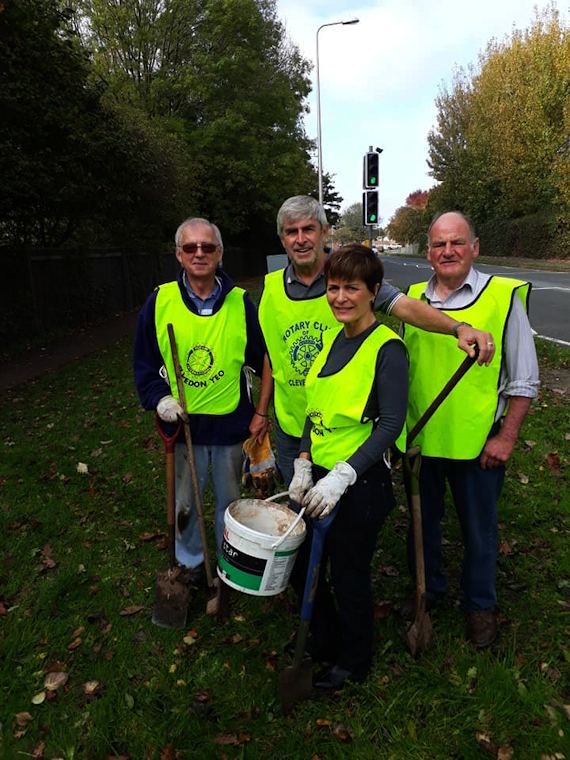 Rotary Club of Clevedon Yeo Crocus planting Southern Way Clevedon