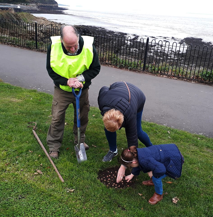 Rotary Club of Clevedon Yeo Crocus by The Bandstand Clevedon Seafront