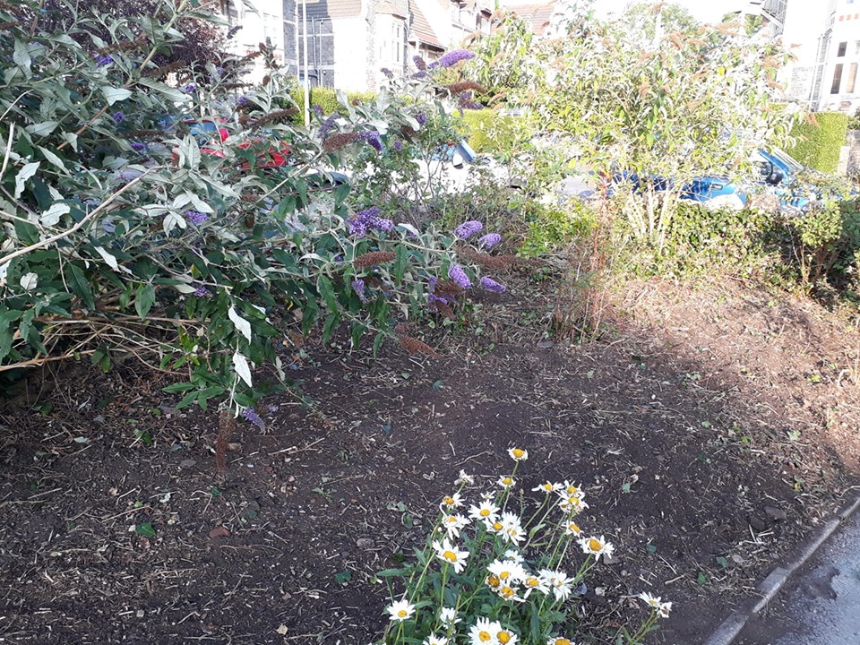 The Green Jesmond Road Clevedon Yeo Clearing Overgrown Flowerbed