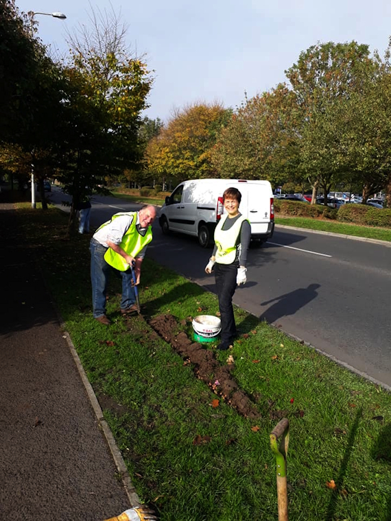 Mike and Helen Crocus planting Southern Way Rotary Club of Clevedon Yeo