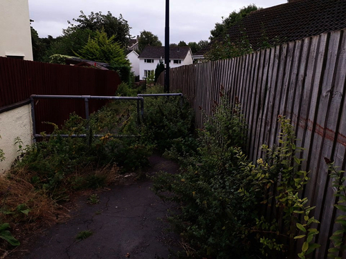 Overgrown Footpath