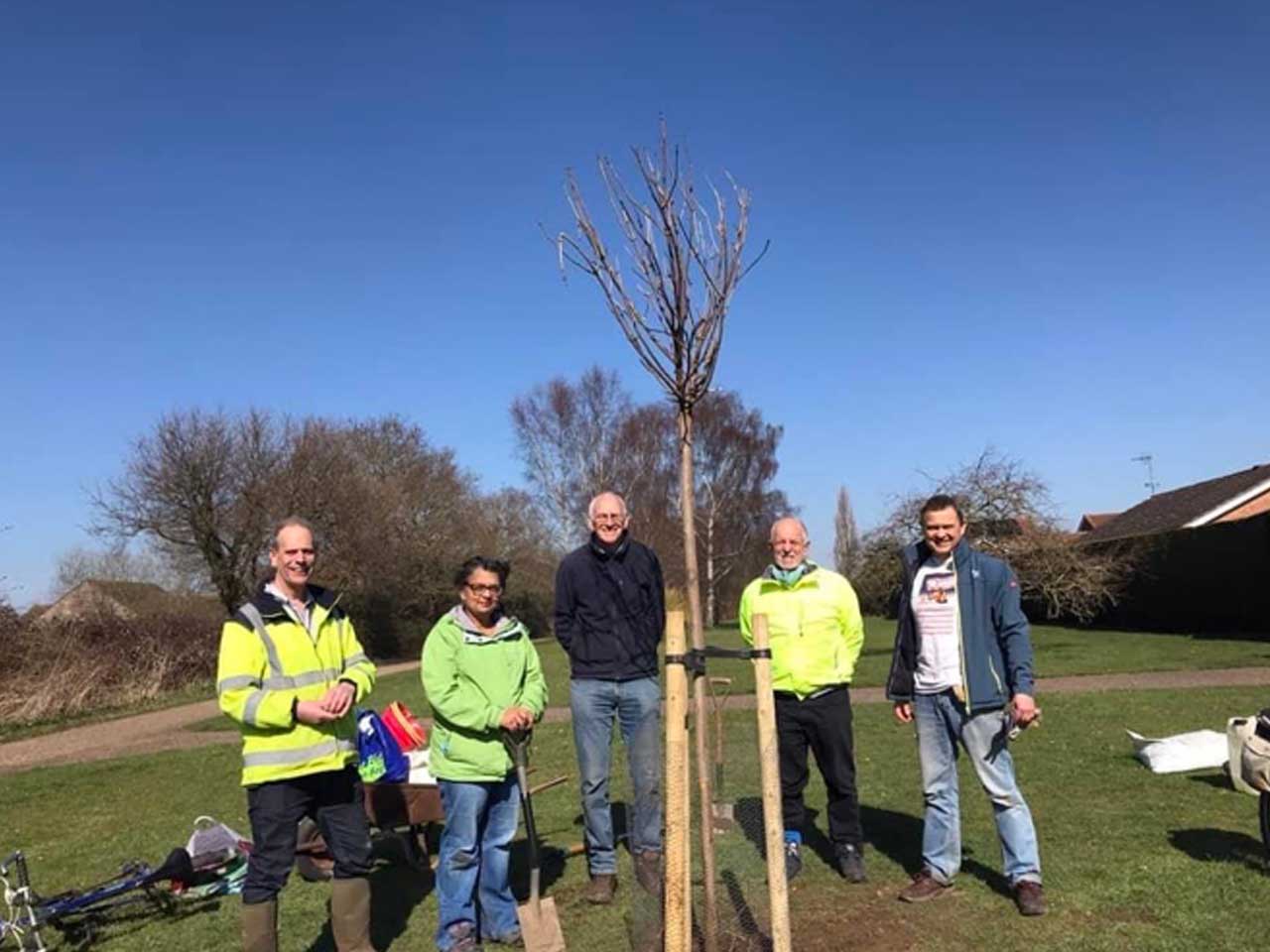 Tree planting in South Wootton